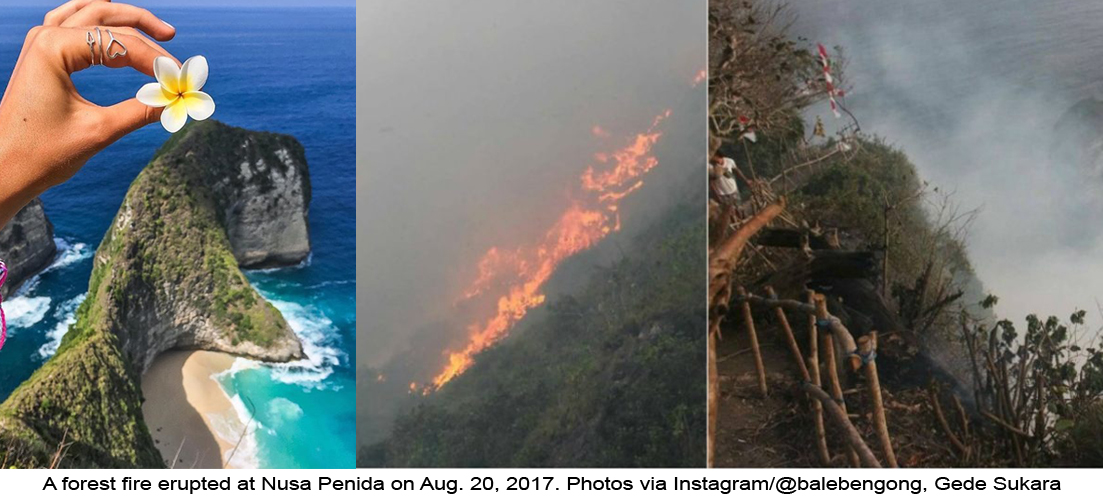 Tourists+evacuated+from+Nusa+Penida+hills+after+forest+fire+erupts