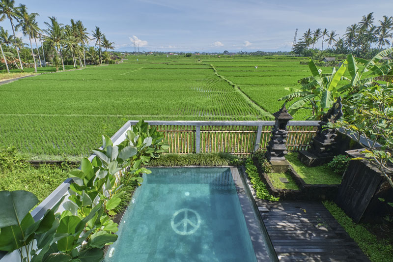Ubud Villa for rent
