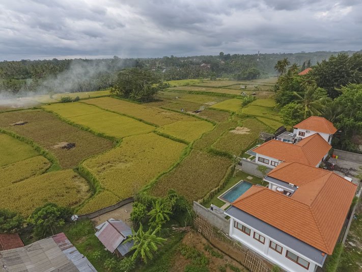Ubud Villa for rent