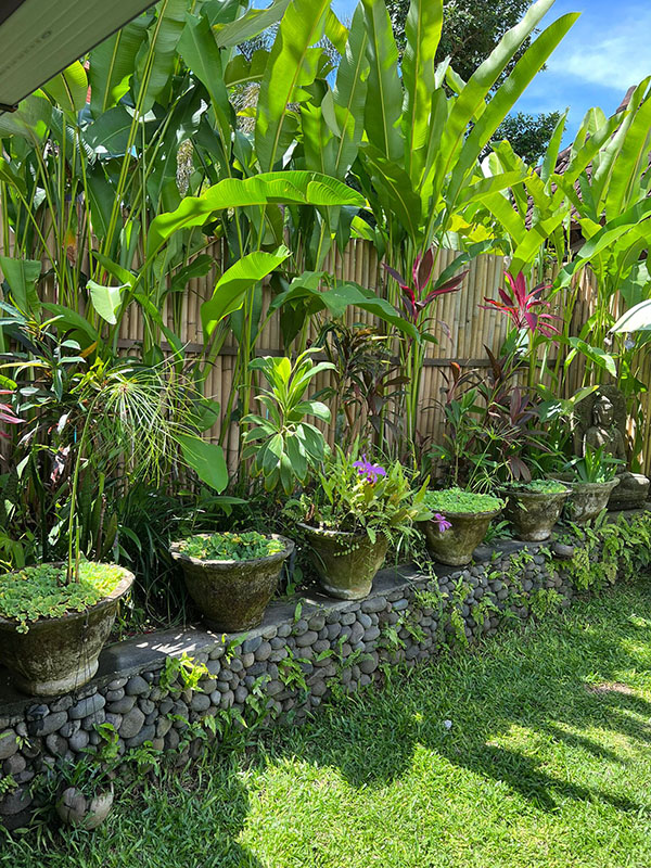 Ubud Villa for rent