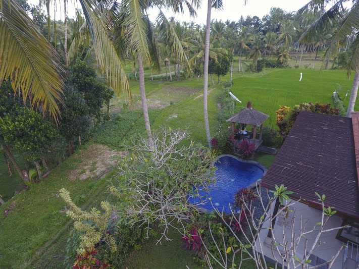 Ubud Villa for rent