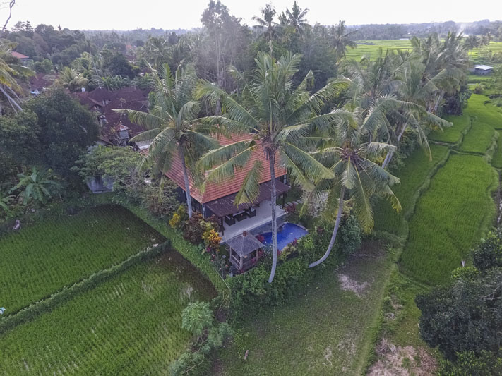 Ubud Villa for rent