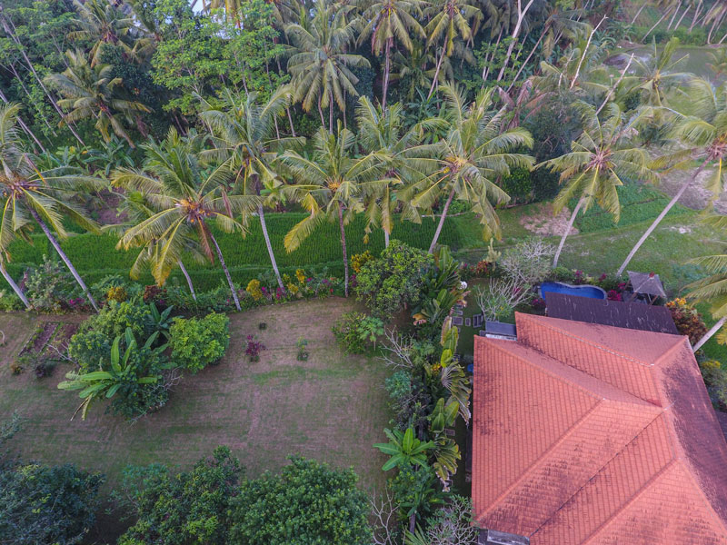 Ubud Villa for rent