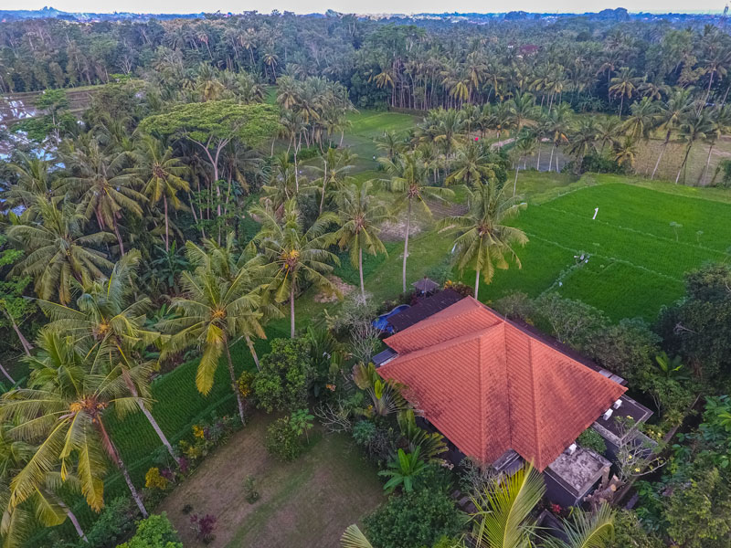 Ubud Villa for rent