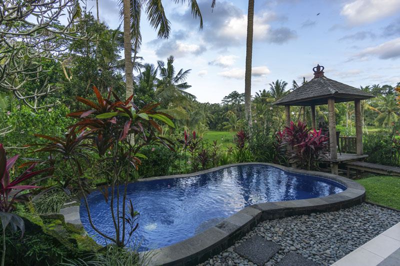 Ubud Villa for rent