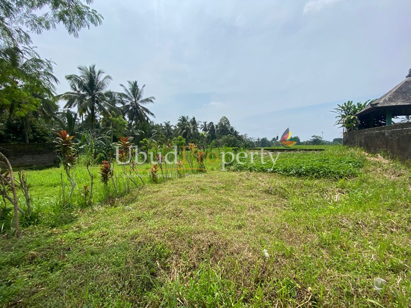 Ubud Property Villa For Sale in Ubud Bali