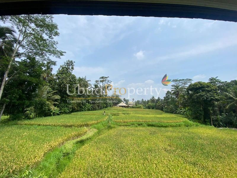 Ubud Property Villa For Sale in Ubud Bali
