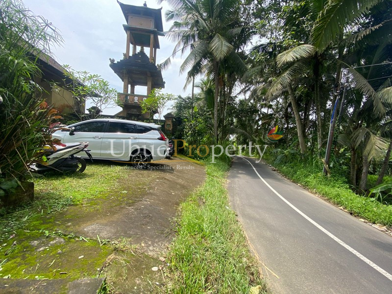 Ubud Property Villa For Sale in Ubud Bali