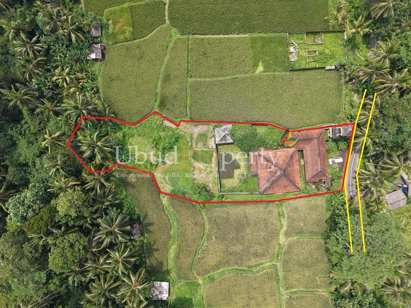 Villa For Sale Freehold in Ubud Bali