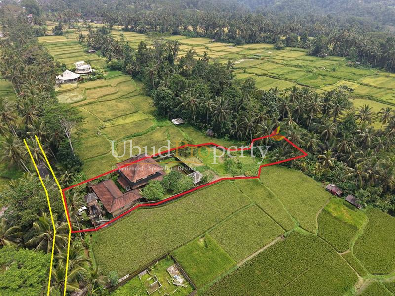 Ubud Property Villa For Sale in Ubud Bali