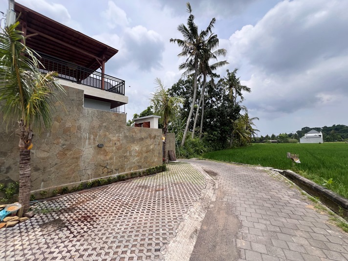 Ubud Villa for rent
