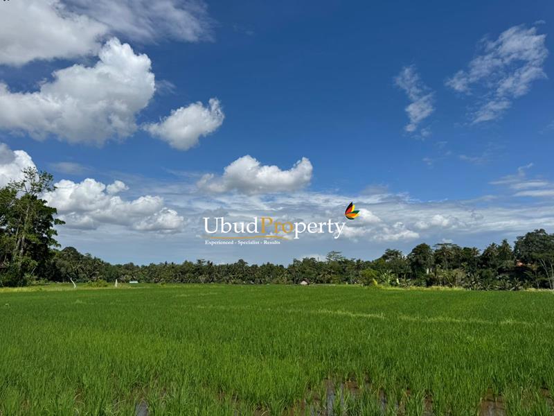Slide background