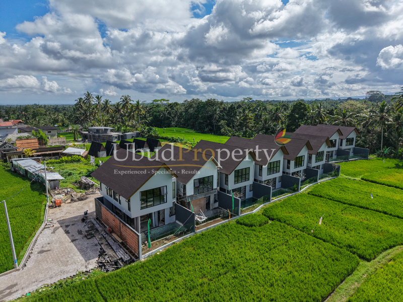 Ubud Property Villa For Sale in Ubud Bali