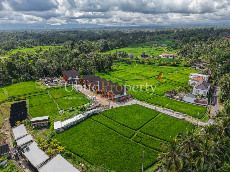 Ubud Property Villa For Sale in Ubud Bali