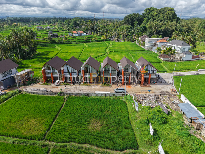 Ubud Property Villa For Sale in Ubud Bali
