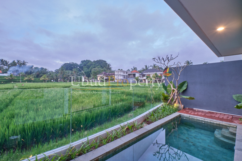 Ubud Property Villa For Sale in Ubud Bali