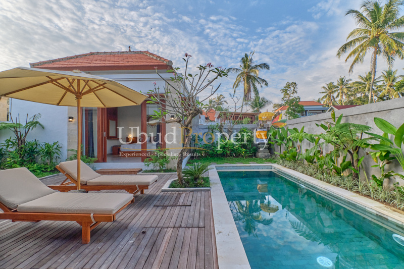 Ubud Property Villa For Sale in Ubud Bali