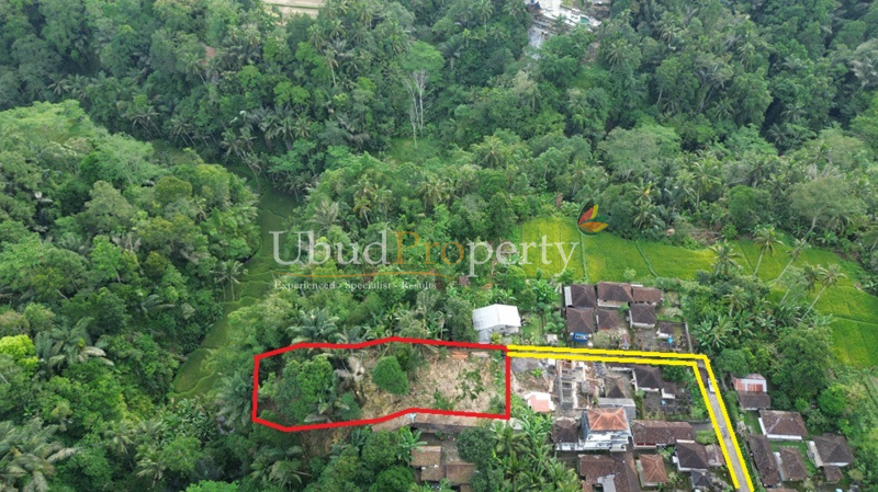 Ubud Property Land For Sale in Ubud Bali