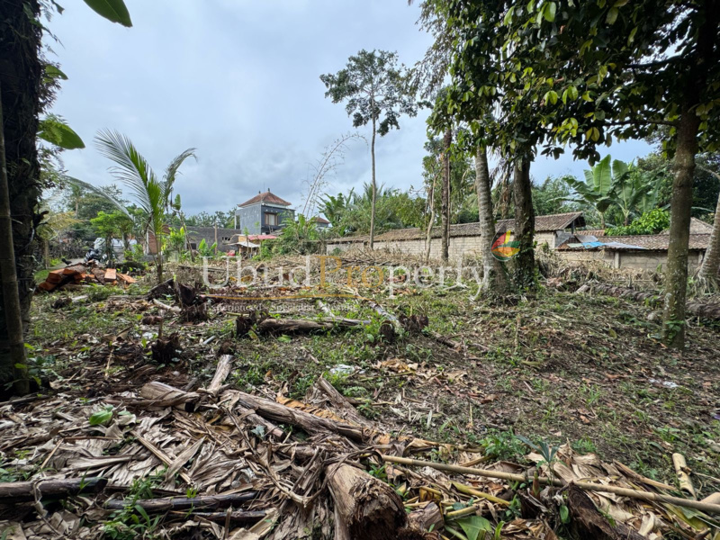 Ubud Property Land For Sale in Ubud Bali - land