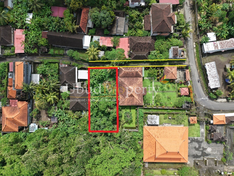 Ubud Property Land For Sale in Ubud Bali