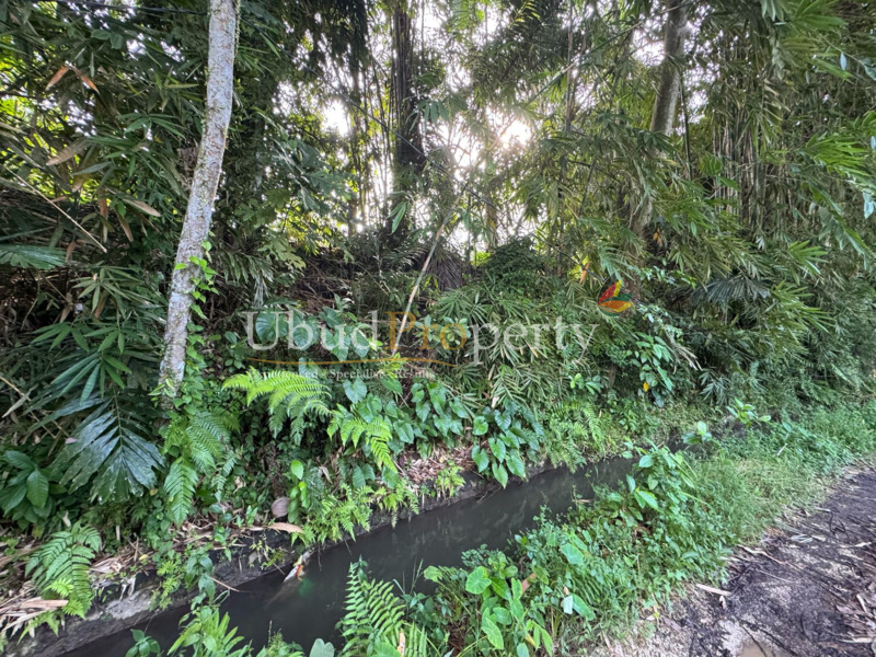 Ubud Property Land For Lease in Ubud Bali