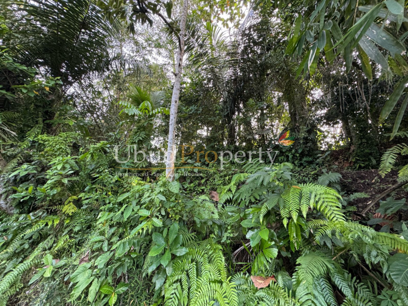 Ubud Property Land For Lease in Ubud Bali