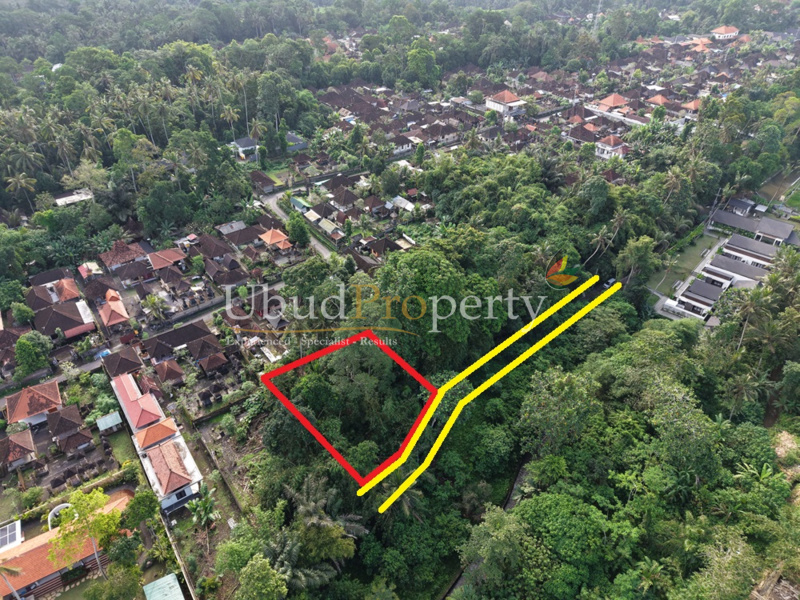 Ubud Property Land For Lease in Ubud Bali