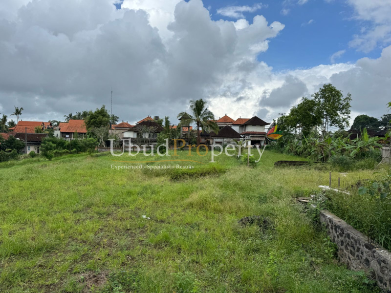 Ubud Property Land For Lease in Ubud Bali