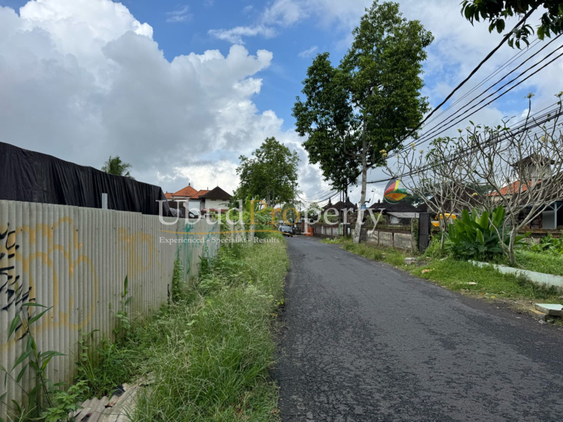 Ubud Property Land For Lease in Ubud Bali