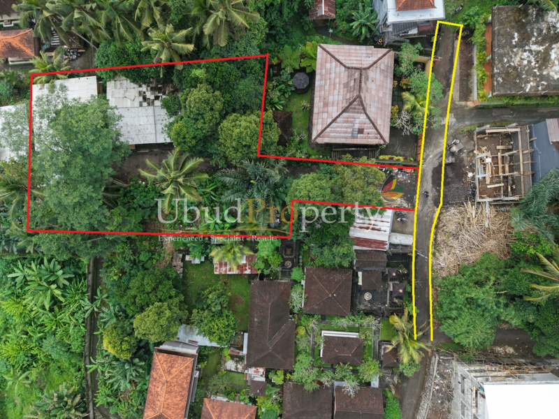 Land For Sale Leasehold in Ubud Bali