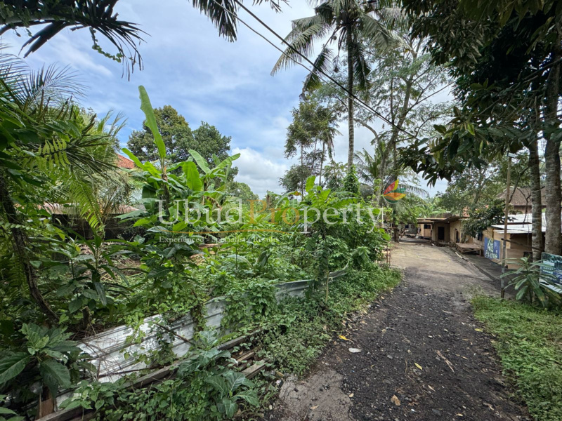 Ubud Property Land For Lease in Ubud Bali