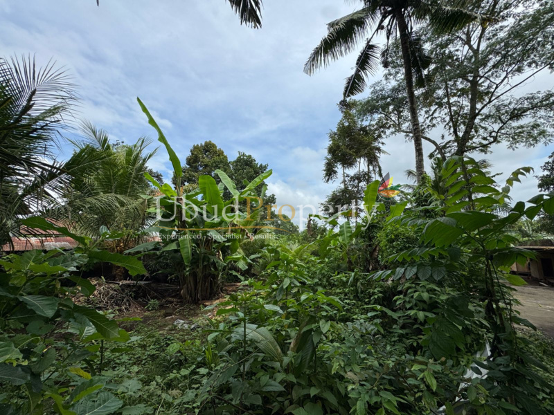 Ubud Property Land For Lease in Ubud Bali