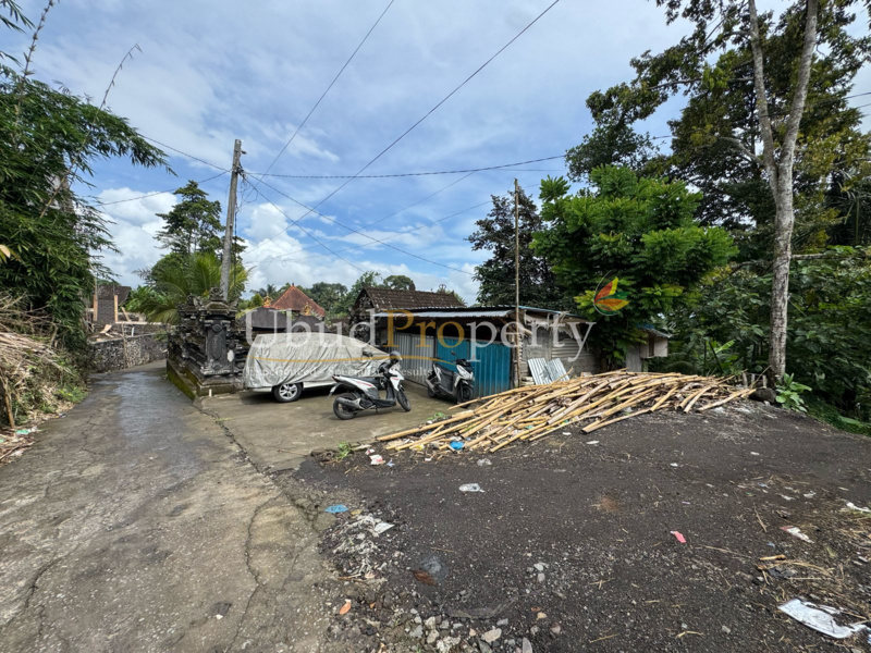Ubud Property Land For Lease in Ubud Bali