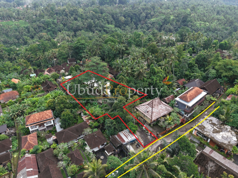 Ubud Property Land For Lease in Ubud Bali