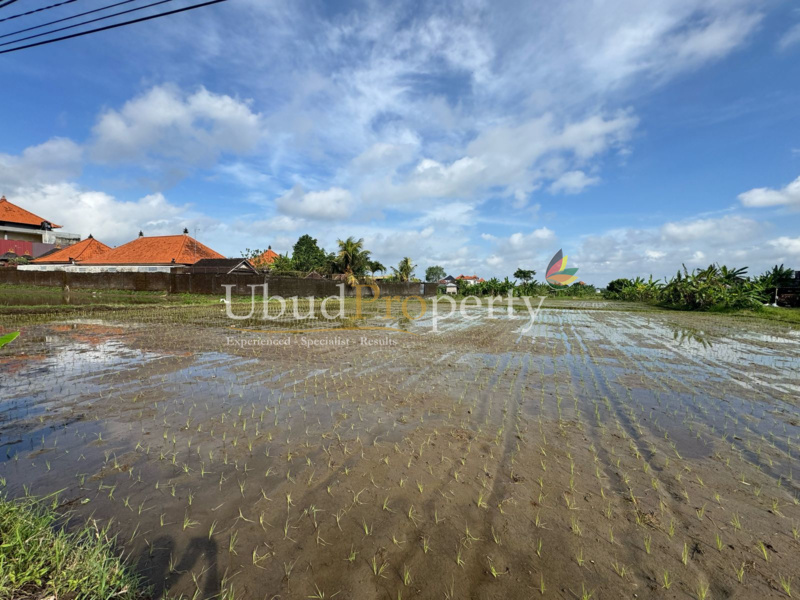 Land For Sale Leasehold in Ubud Bali