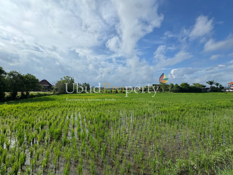 Ubud Property Land For Lease in Ubud Bali