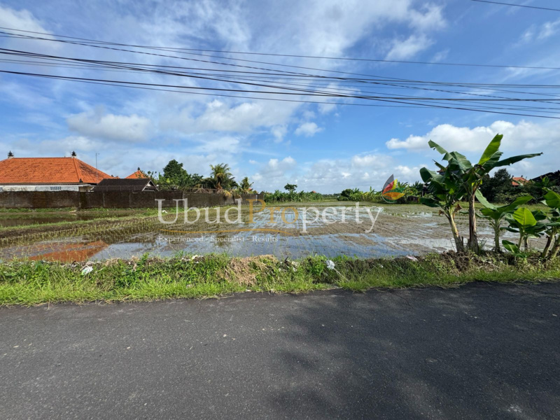 Ubud Property Land For Lease in Ubud Bali