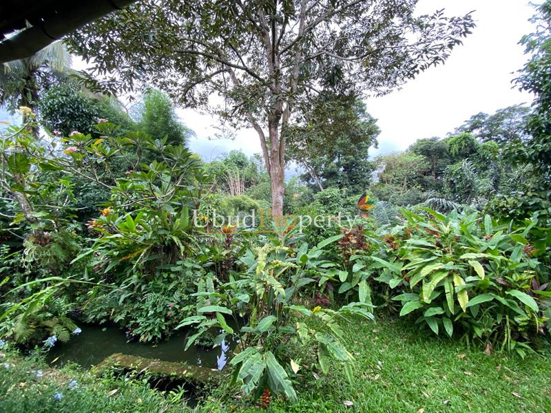 Ubud Property Land For Sale in Ubud Bali