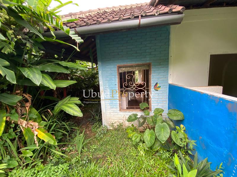 Ubud Property Land For Sale in Ubud Bali