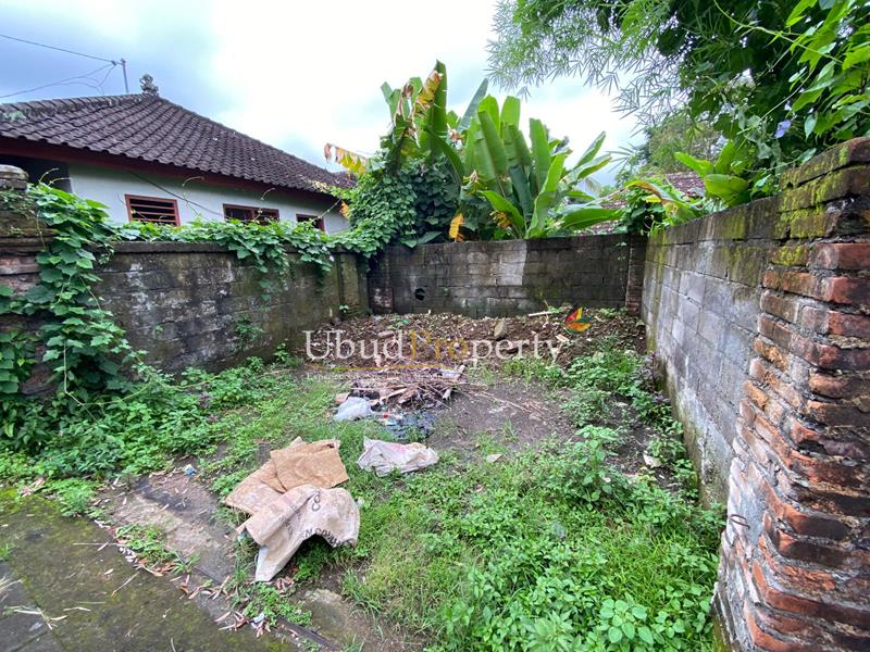 Ubud Property Land For Sale in Ubud Bali