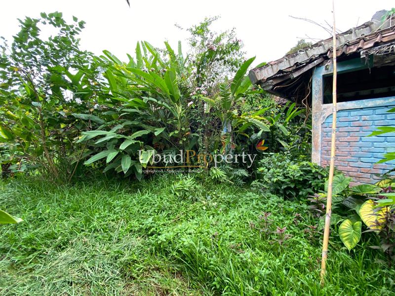 Ubud Property Land For Sale in Ubud Bali