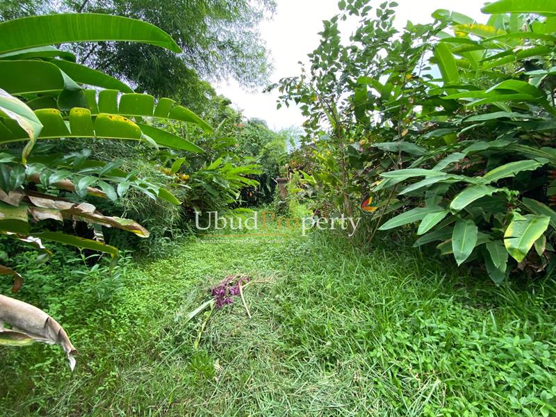 Ubud Property Land For Sale in Ubud Bali