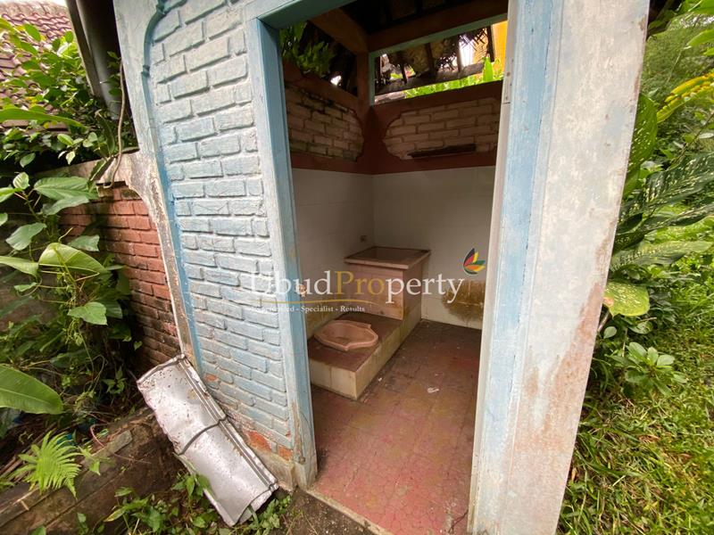 Ubud Property Land For Sale in Ubud Bali