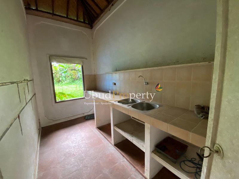 Ubud Property Land For Sale in Ubud Bali