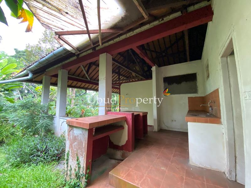Ubud Property Land For Sale in Ubud Bali