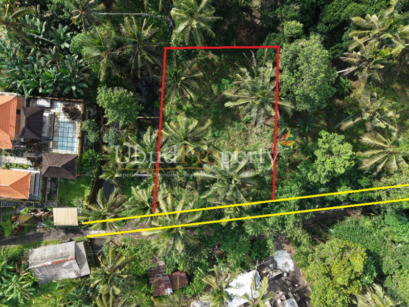 Land For Sale Leasehold in Ubud Bali