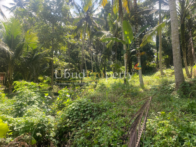 Ubud Property Land For Lease  in Ubud Bali