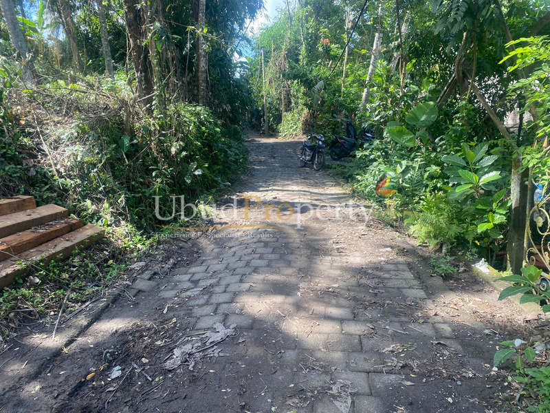 Ubud Property Land For Lease  in Ubud Bali