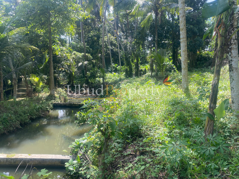 Ubud Property Land For Lease  in Ubud Bali