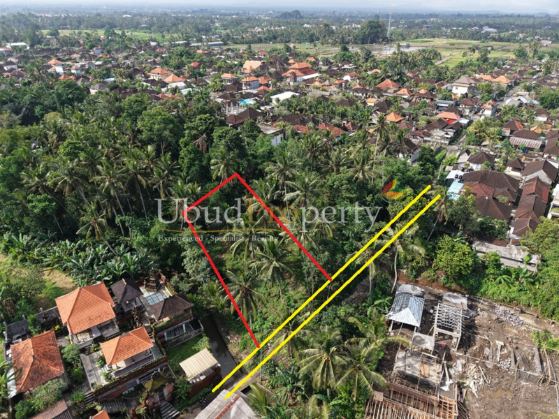 Ubud Property Land For Lease  in Ubud Bali